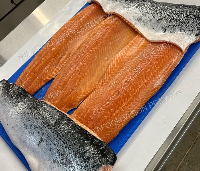 Salmon fillets with the skin on, laid on a blue tray